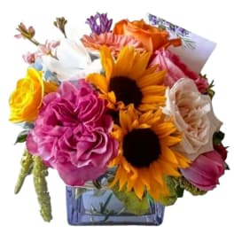 Pretty In Bloom - Bright & Cheerful Seasonal Bouquet | Haddonfield Delivery
