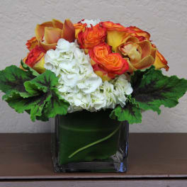 Orange roses and white hydrangeas in a square glass vase