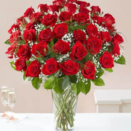 Red roses arranged in a clear glass vase with baby's breath