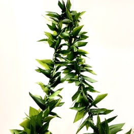 Braided green foliage garland against a white background