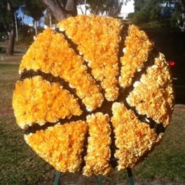 Basketball Standing Spray