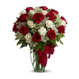 Two Dozen Roses Bouquet