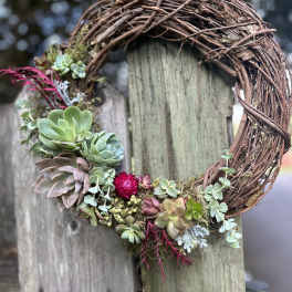 Succulent grapevine wreath