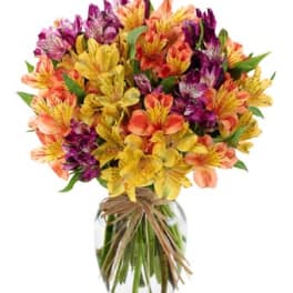Bouquet of multicolored alstroemeria in a clear glass vase