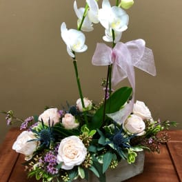 White orchids and pale pink roses in a low rectangular container with a ribbon