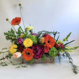Sunshine and Sangria by Barb’s Flowers