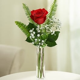Love's Embrace Roses - Red