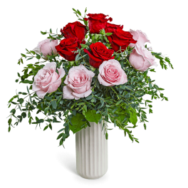 One Dozen Perfect Pink and Red Roses