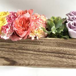 Painted Garden Row by Barb’s Flowers