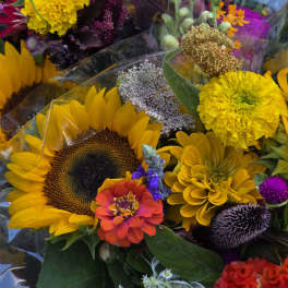 Farm Fresh Designers Choice