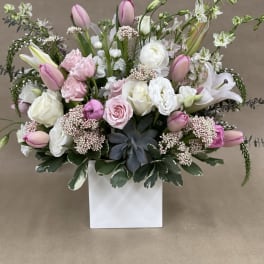 Beauitful Blush