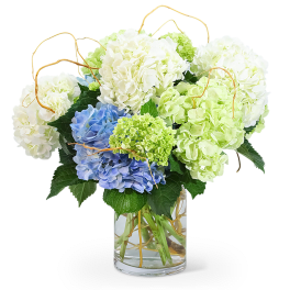 Hydrangea bouquet in a clear glass vase with curly branches