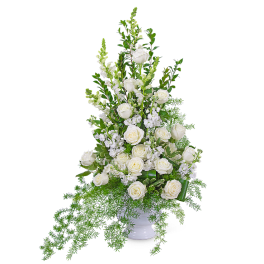 White roses and white stock in a white vase