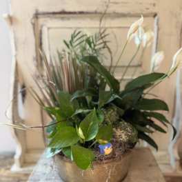 Mixed potted plant arrangement with white peace lilies in a round bowl