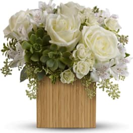 Bamboo Beauty - TFWEB623