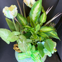 Tropical arrangement with pale flowers and large variegated leaves in a round vase