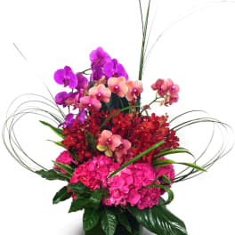 Pink and purple orchid arrangement in a dark vase