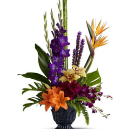 Paradise Blooms - TFWEB565