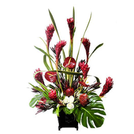 Tall tropical arrangement with red flowers in a black vase