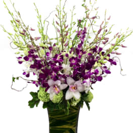 Purple and white orchids in a tall glass vase