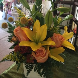 Sunshine and Roses