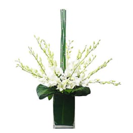 White orchid arrangement in a tall green vase with upright stems