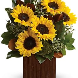 Compact arrangement of yellow sunflowers in a square brown wooden vase