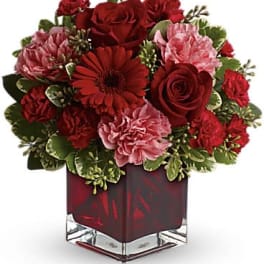 Compact red and pink arrangement with roses, carnations and a gerbera daisy in a red glass cube vase