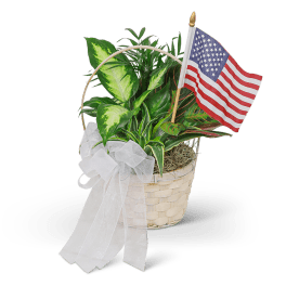 Basket of green houseplants with a white bow and American flag