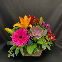 Colorful Fiesta!
