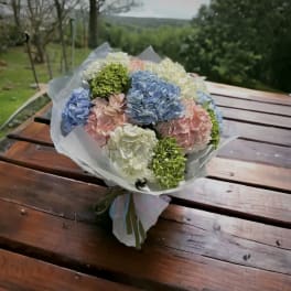 Bouquet of pastel hydrangeas wrapped in white paper