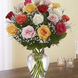 Mixed roses in a clear glass vase with baby's breath