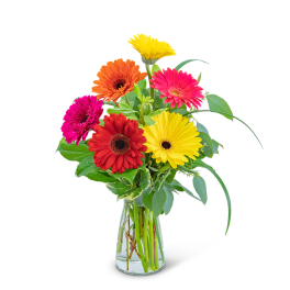 Bright gerbera daisies in a clear glass vase