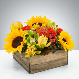 Picnic by BloomNation™