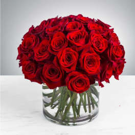 Red roses arranged in a clear glass vase