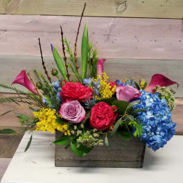 Nature Box