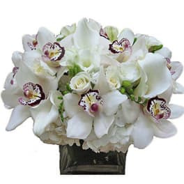 Low white orchid and rose arrangement in a clear glass cube vase