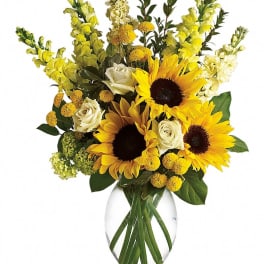 Here Comes The Sun by Teleflora