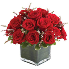 Red roses arranged in a square glass vase
