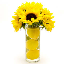 Lemonade