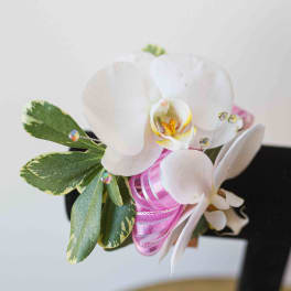 White orchid corsage with pink ribbon and variegated leaves