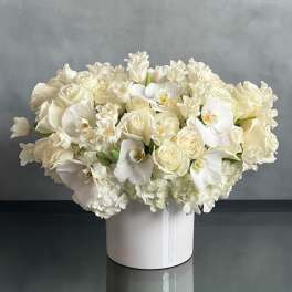 Pearl Elegance- Designers Choice