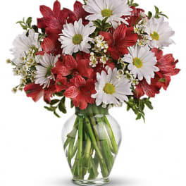 Bouquet of red alstroemeria and white daisies in a clear glass vase