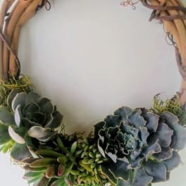 Succulent wreath on a grapevine ring with trailing bead-like greenery