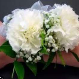 White carnation corsage with baby's breath and ribbon