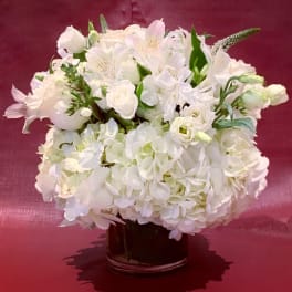 White floral arrangement in a glass vase on a burgundy background