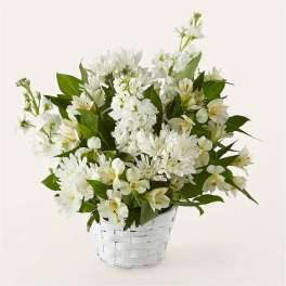 White flowers arranged in a white basket with green leaves