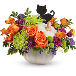 Orange roses and mixed flowers in a white pumpkin container with a black cat pick