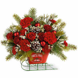 Red roses and carnations in a red sleigh planter with pinecones
