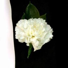 White carnation boutonniere with green leaves on a black background